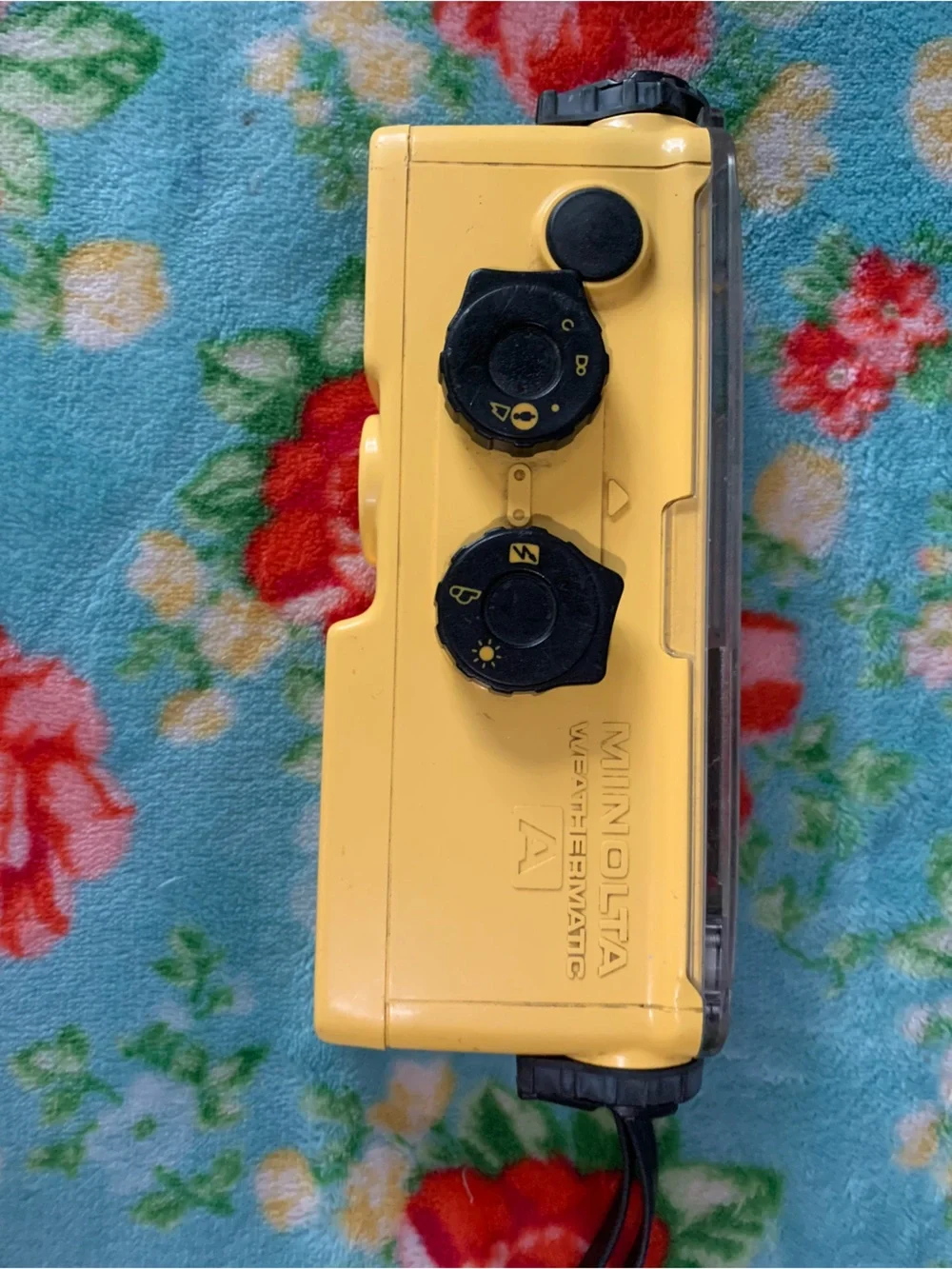 Minolta see last